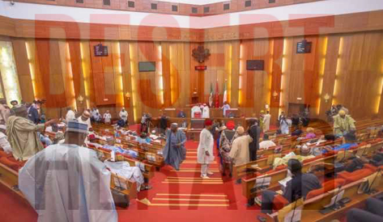  Senate suspends plenary for budget defence