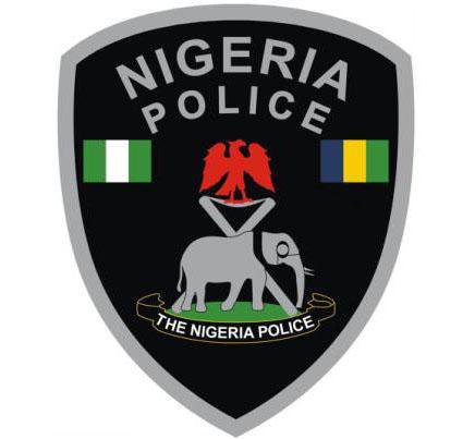  Alarming insecurity: 113 killed in Zamfara within one week