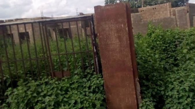  Weeds, Reptiles, take over multi-million naira Atiba FM Station