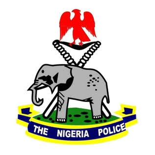  The police arrested cattle rustler in Turakawa village of kafin Hausa LG